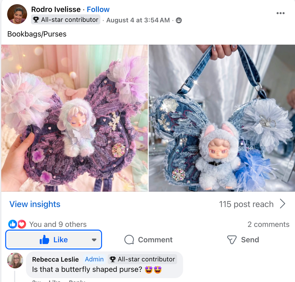 Bookbags/Purses