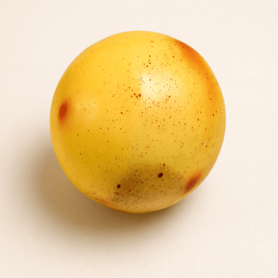 Jumbo Potato