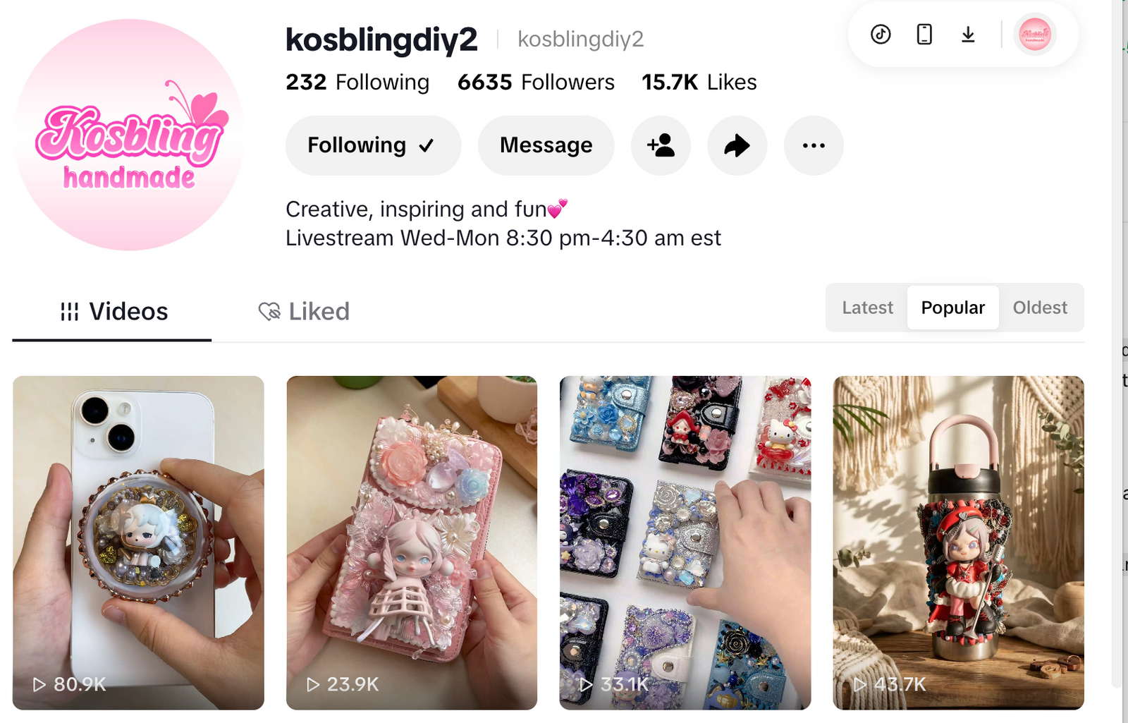 TikTok DIY