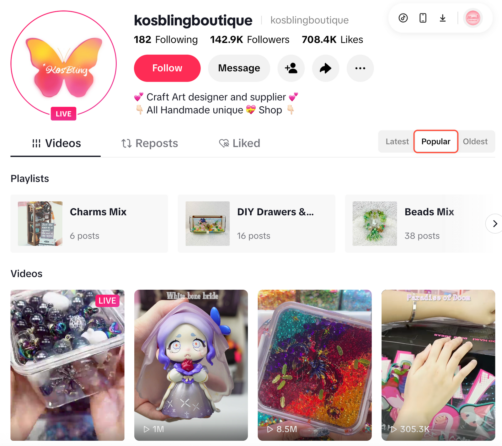TikTok DIY Boutique
